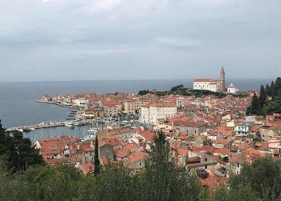 18. Pohled na celé město Piran